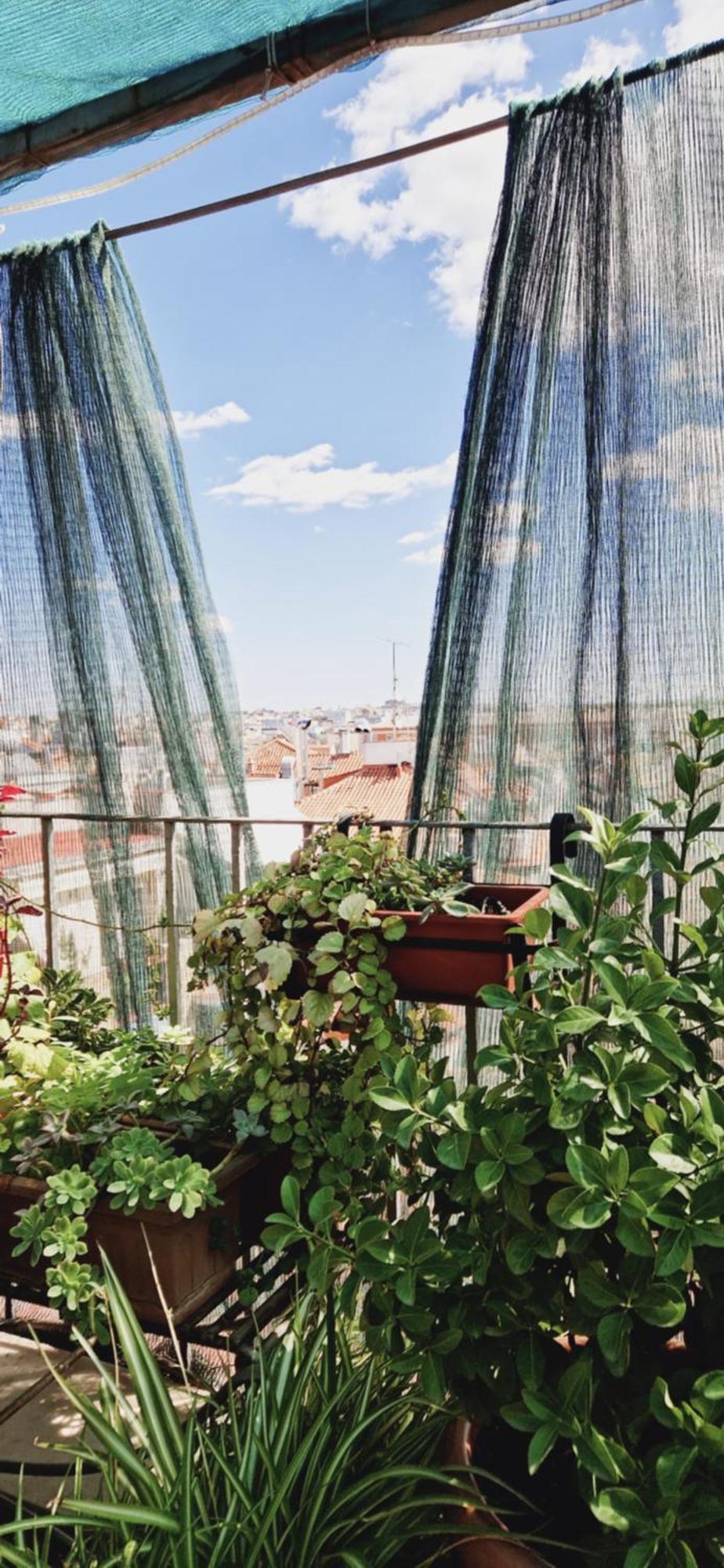 Casa De Huespedes Dolce Vita Madrid Exterior foto